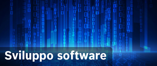 Sviluppo software